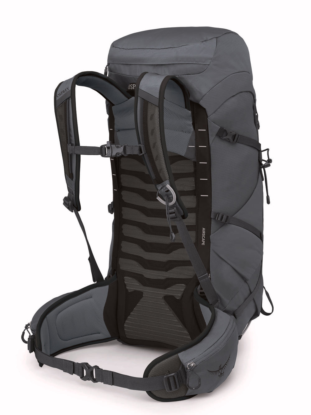 Sac à dos de rando Homme TALON 33 L